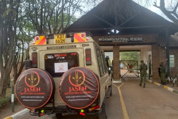 Nairobi National Park, Giraffe Centre & Elephant Orphanage Day Tour