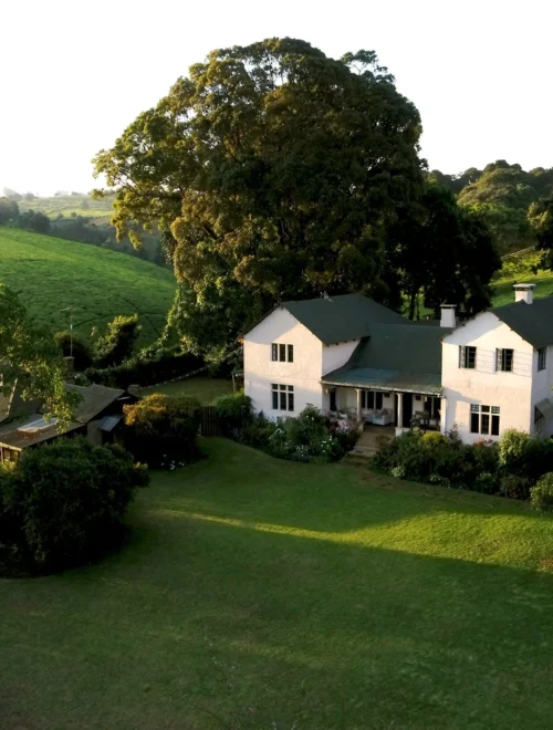 Nairobi Coffee Farm Tour and Nature Walk Day Experience
