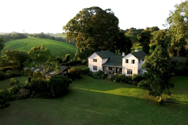 Nairobi Coffee Farm Tour and Nature Walk Day Experience