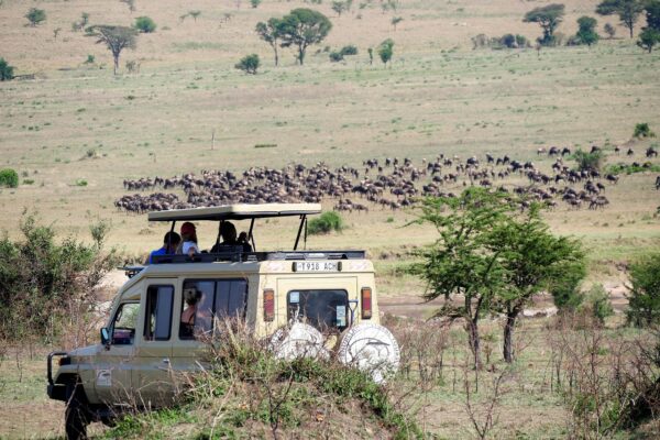 4 x 4 Safari Land Cruiser