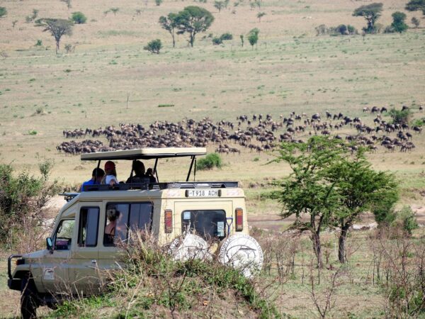 4 x 4 Safari Land Cruiser